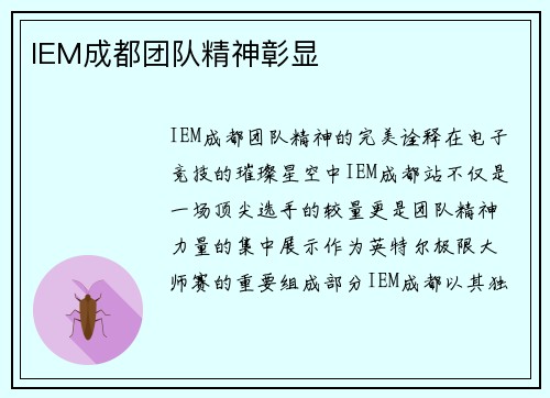 IEM成都团队精神彰显