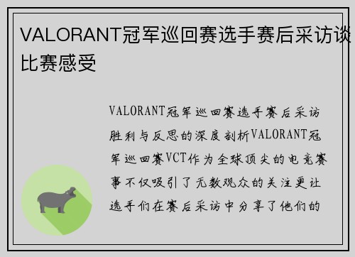 VALORANT冠军巡回赛选手赛后采访谈比赛感受